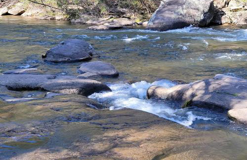 LUXURY CABIN WITH WATERVIEW AND PRIVACY, hiking - Photo 43