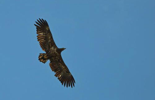 Ferienhaus Tura - Foto 49