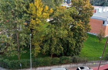 CASA CHIARA - 11 minuti da Milano - 6 minuti da policlinico San Donato Milanese - Foto 19