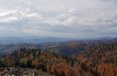 Domek na Obidzy - Foto 40