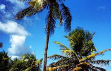 Casa em Condomínio Privativo - Foto 18