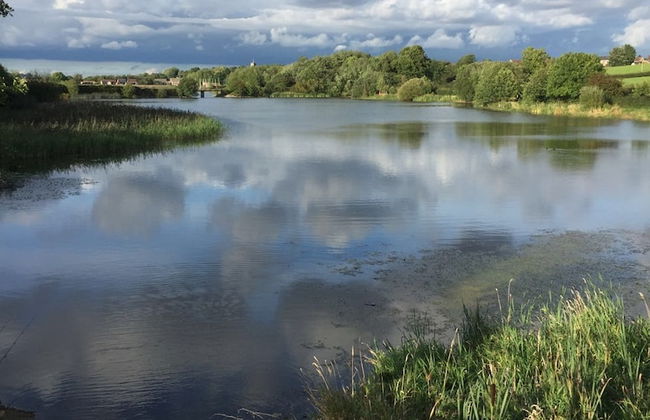 Cosy Cottage Sleeps 6 Suit Families, Contractors, Couples - Photo 11