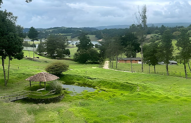 1. Cabaña Portón de Ovejas - Photo 20