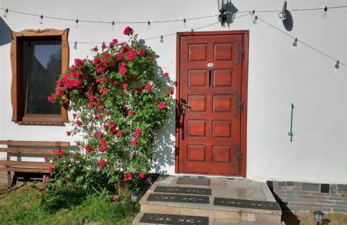 Wigierska Chatka - Foto 17