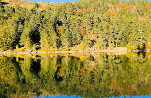 Au Nid Des Pies - Foto 24