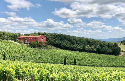 Casa Rosmarino, grill, Wi-Fi by ToscanaTour - Foto 45