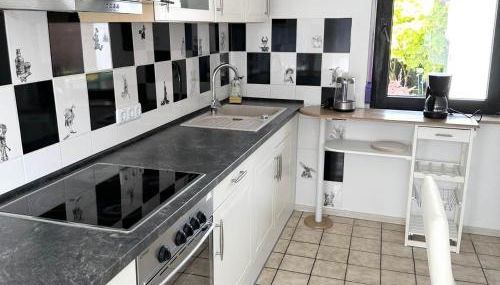 Work & Stay Apartment in Troisdorf - Foto 5, stove