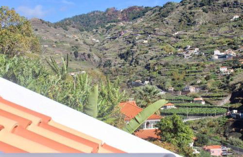 Pink House - Photo 40