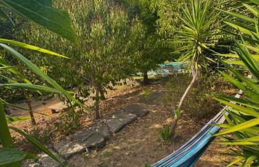 Quinta São José - Museu do Triciclo - Photo 47