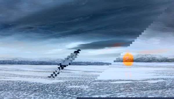 Desfrutando da paisagem do Parque Nacional Abisko