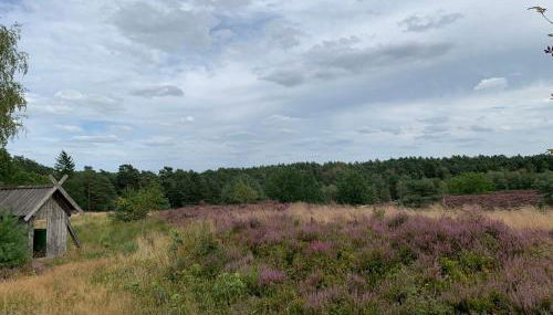 Nordheidehaus - Villa - Foto 5