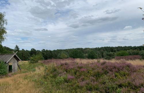 Nordheidehaus - Villa - Foto 5