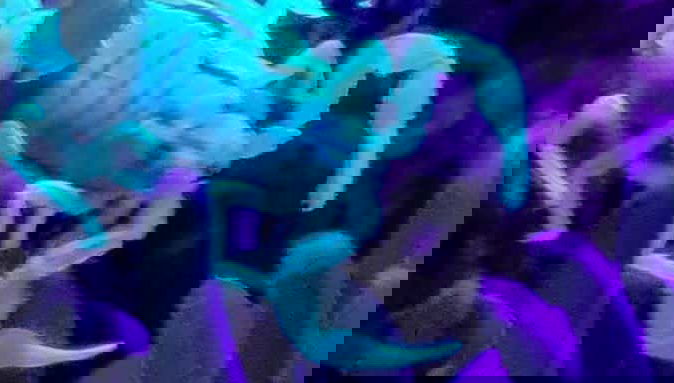 Senderismo nocturno por Oudtshoorn + Avistamiento de escorpiones