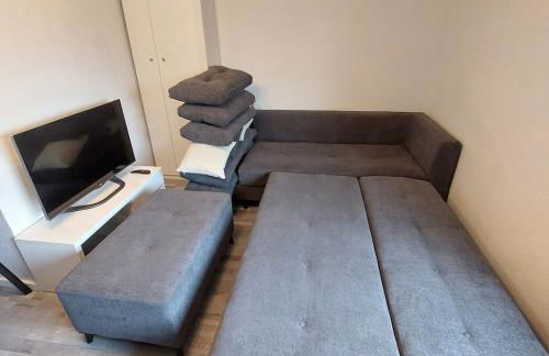 Ruheoase im Südschwarzwald - Foto 11