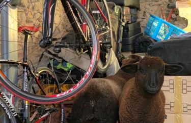 Quinta do Areal - Foto 58