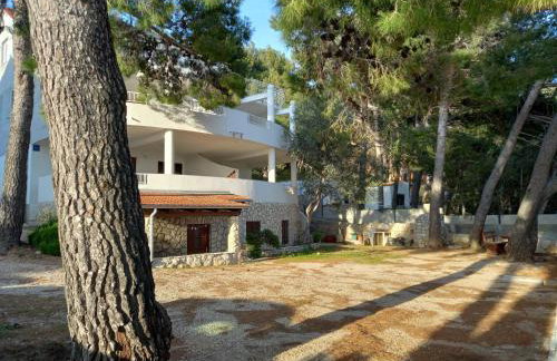 Apartments by the sea Ivan Dolac - Hvar - 21269 - Foto 1