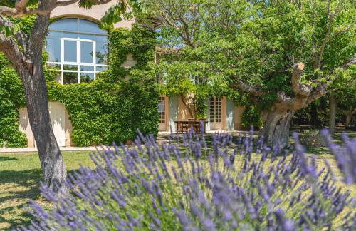 Mas provençal vue sur les vignes & Sainte-Victoire - Foto 39