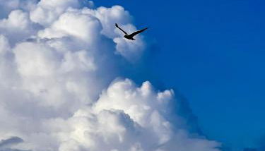 Lobster im Nauticum - Foto 5