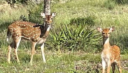 Anderson Cottage at Wrenwood Ranch, King Bed, Walking Distance to the Winery - Foto 3