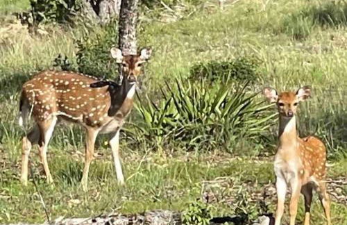 Sauceda Cottage at Wrenwood Ranch, King Bed - Foto 27