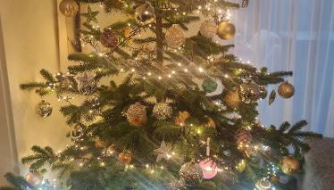 Ferienhaus Bitburg - Foto 3