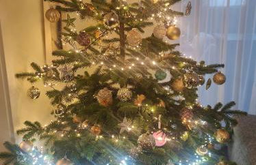 Ferienhaus Bitburg - Foto 3