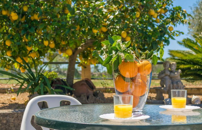 Son Rossinyol in Llub - Foto 4