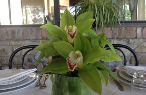 Agriturismo IL BORGHETTO - Photo 30