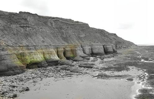 La Petite Goulette - Foto 10