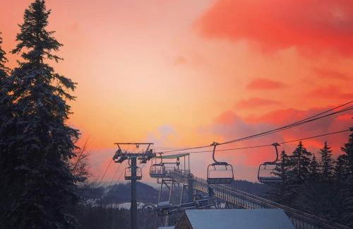 Appartement proche de la ville et du parc du Truchet - Foto 21