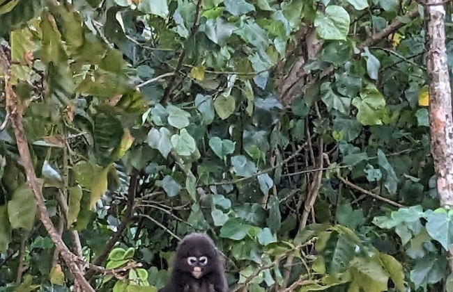 Villa Sri Kampung - Foto 24