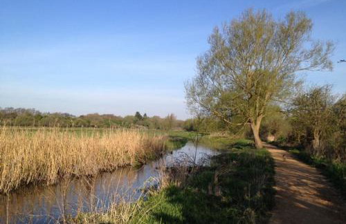 Harp Garden - Foto 49