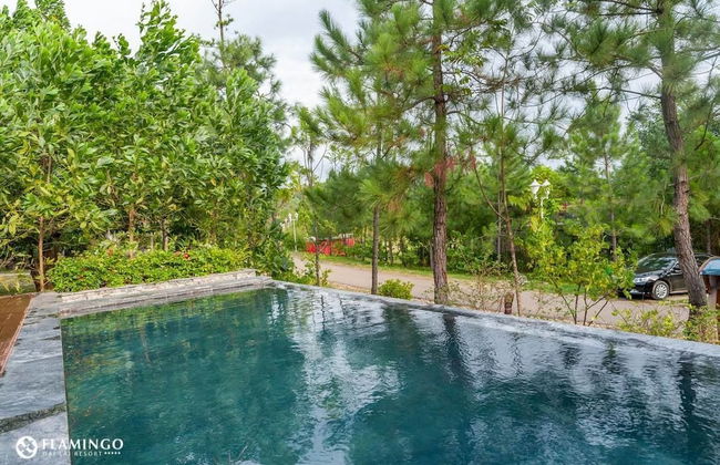 Villa Flamigo Dai Lai Chinh Chu - Photo 10