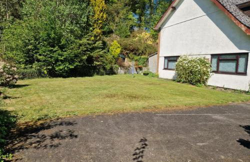 Y Fedw Wen - Foto 35