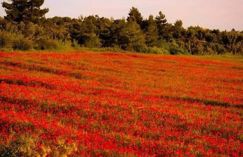 LES LLÚDRIGUES Casa Loft con aire ac y terraza - Foto 64