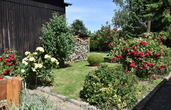 Einladende Ferienwohnung in Zweedorf mit Grill - Foto 27
