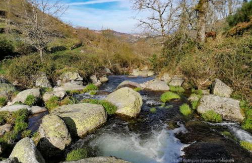 Casa Largo S Lourenço e Casa da Videira - Photo 32