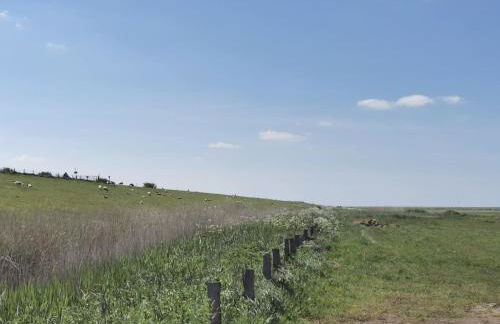 Ferienwohnung 1 Nordsee Gulfhof Dornum - mit großem Garten - Foto 23