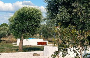 Monte da Broa - Foto 34