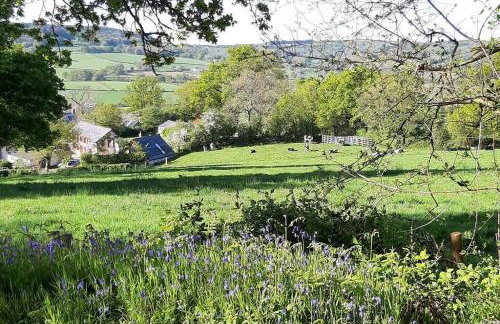 The Roost in the Blackdowns - Photo 22