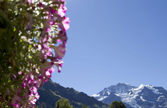 Chalet Miravalle - Foto 33