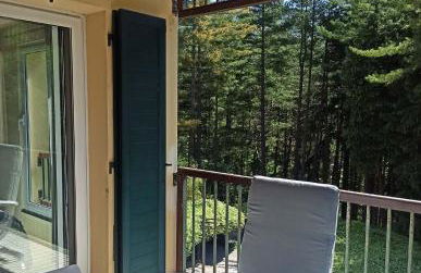 IL Bosco di Campo Marzano Sunlight - Foto 15