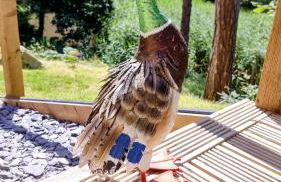 The Duck House - Foto 24