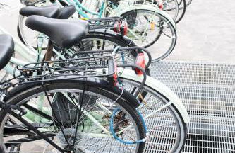 Perla del Parco - Foto 14