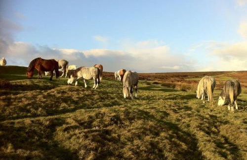 The Shippen - Open-plan barn conversion, high-spec, stunning views - Foto 32