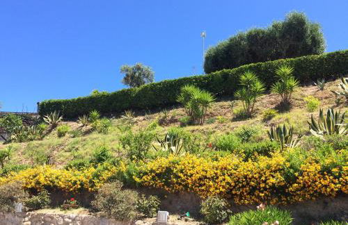 Villa Del Conte - Foto 39