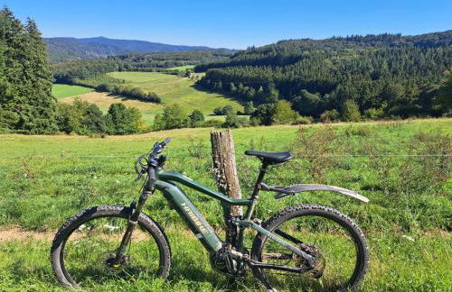 Landhaus am Aremberg - Eifel - Foto 44