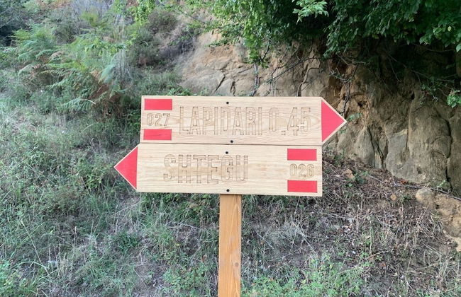 Florenc's Apartment - Foto 37