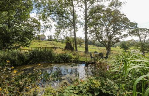 West Burnbank - Foto 37