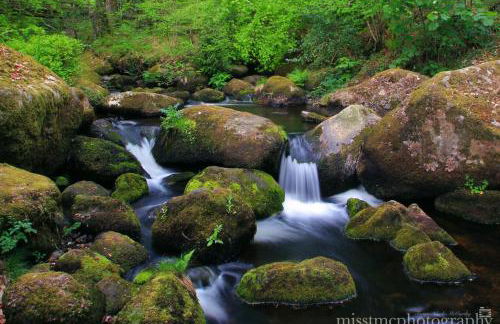 Dartmoor Reach Alpaca Farm - Foto 98